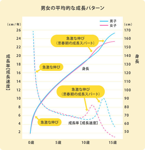 男女の平均的な成長パターン