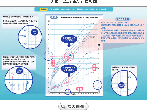 成長曲線の描き方解説図