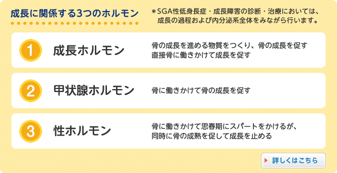 成長に関係する3つのホルモン