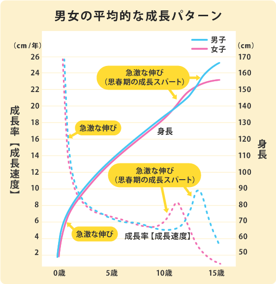 男女の平均的な成長パターン