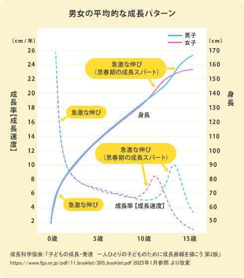 男女の平均的な成長パターン